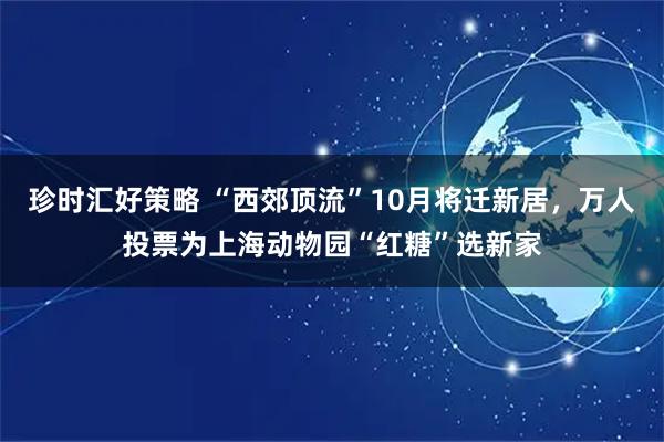 珍时汇好策略 “西郊顶流”10月将迁新居，万人投票为上海动物园“红糖”选新家