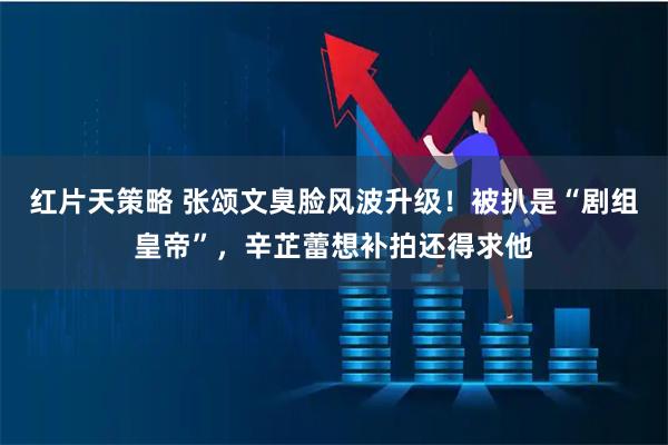 红片天策略 张颂文臭脸风波升级！被扒是“剧组皇帝”，辛芷蕾想补拍还得求他